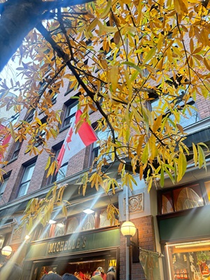 カナダ海外派遣研修_20251114_03