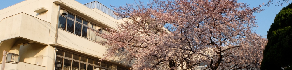 東京都制