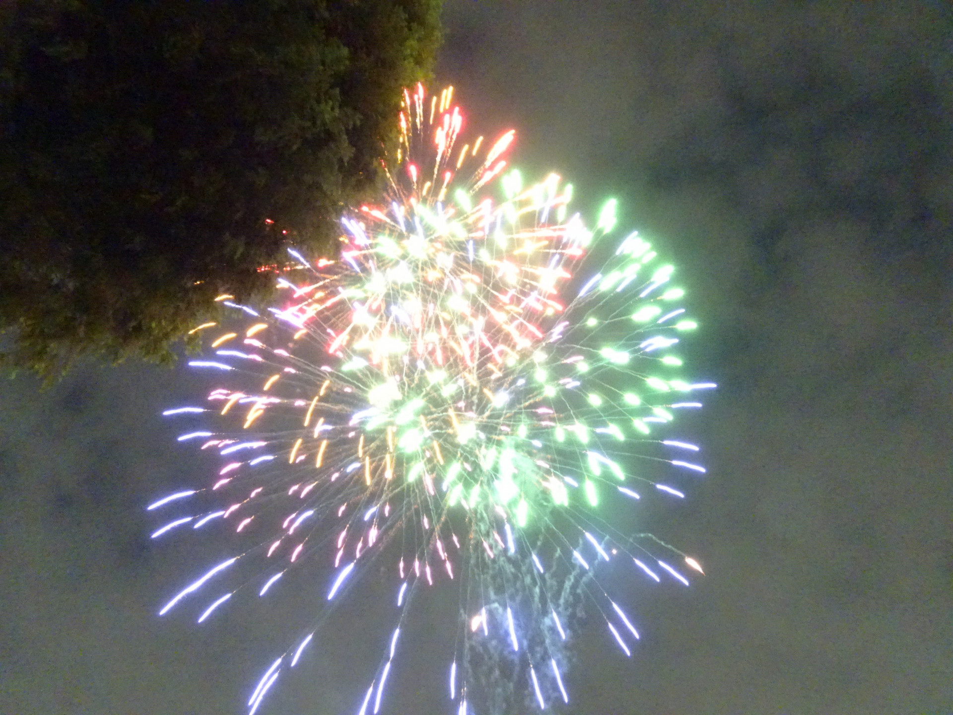 DSC09689.JPG