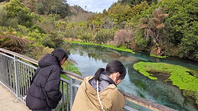 IMG_6556