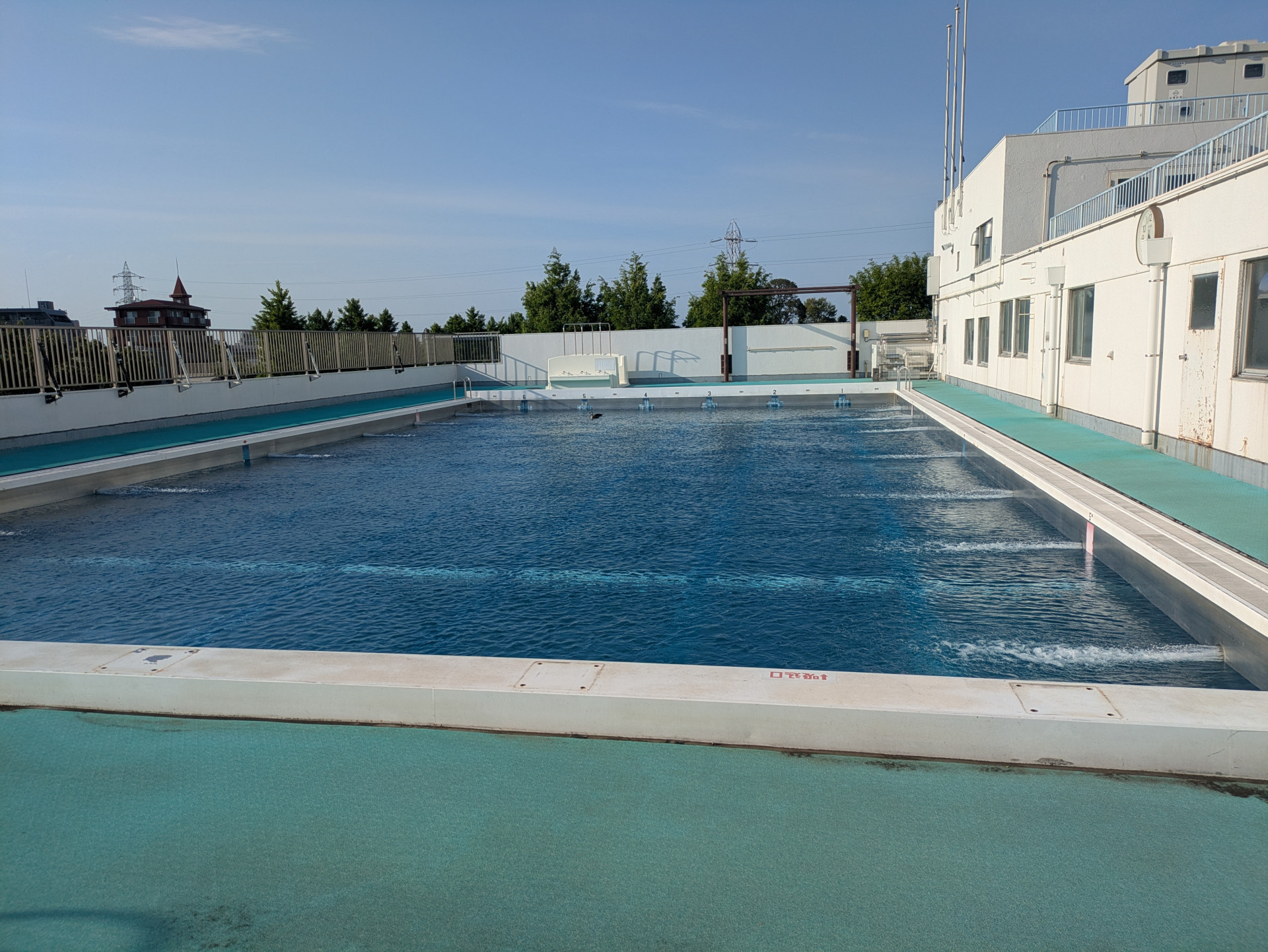 PXL_20260428_073211745.MP