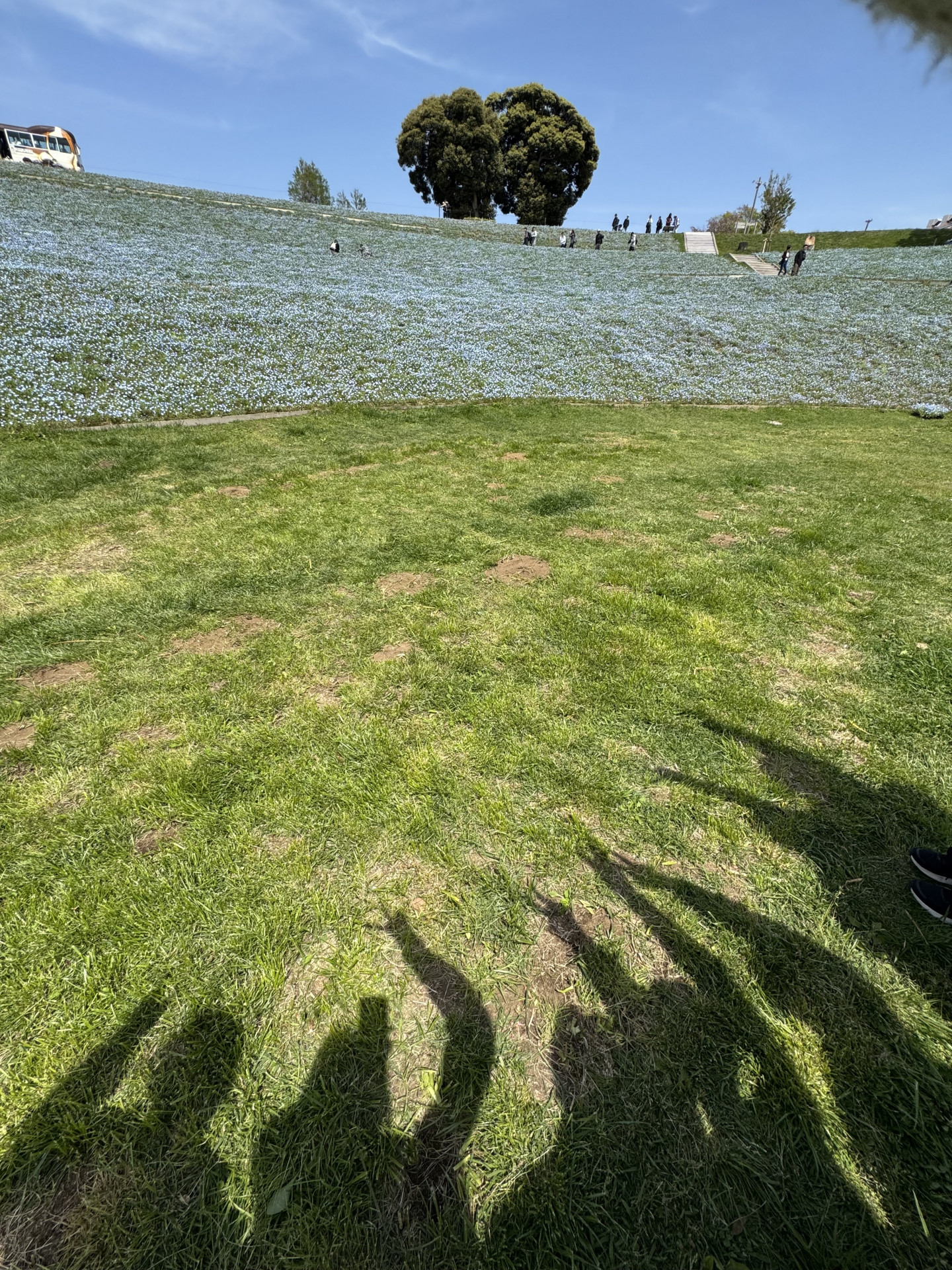 aaa