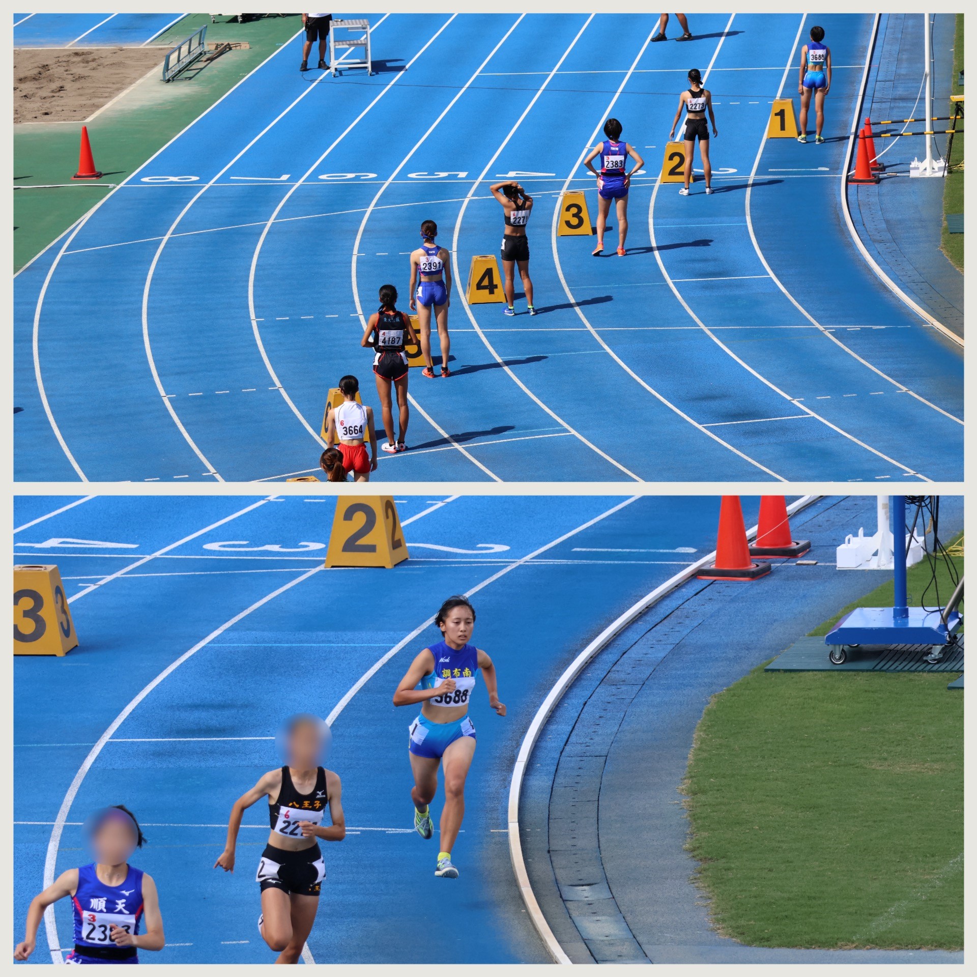 2024新人800m