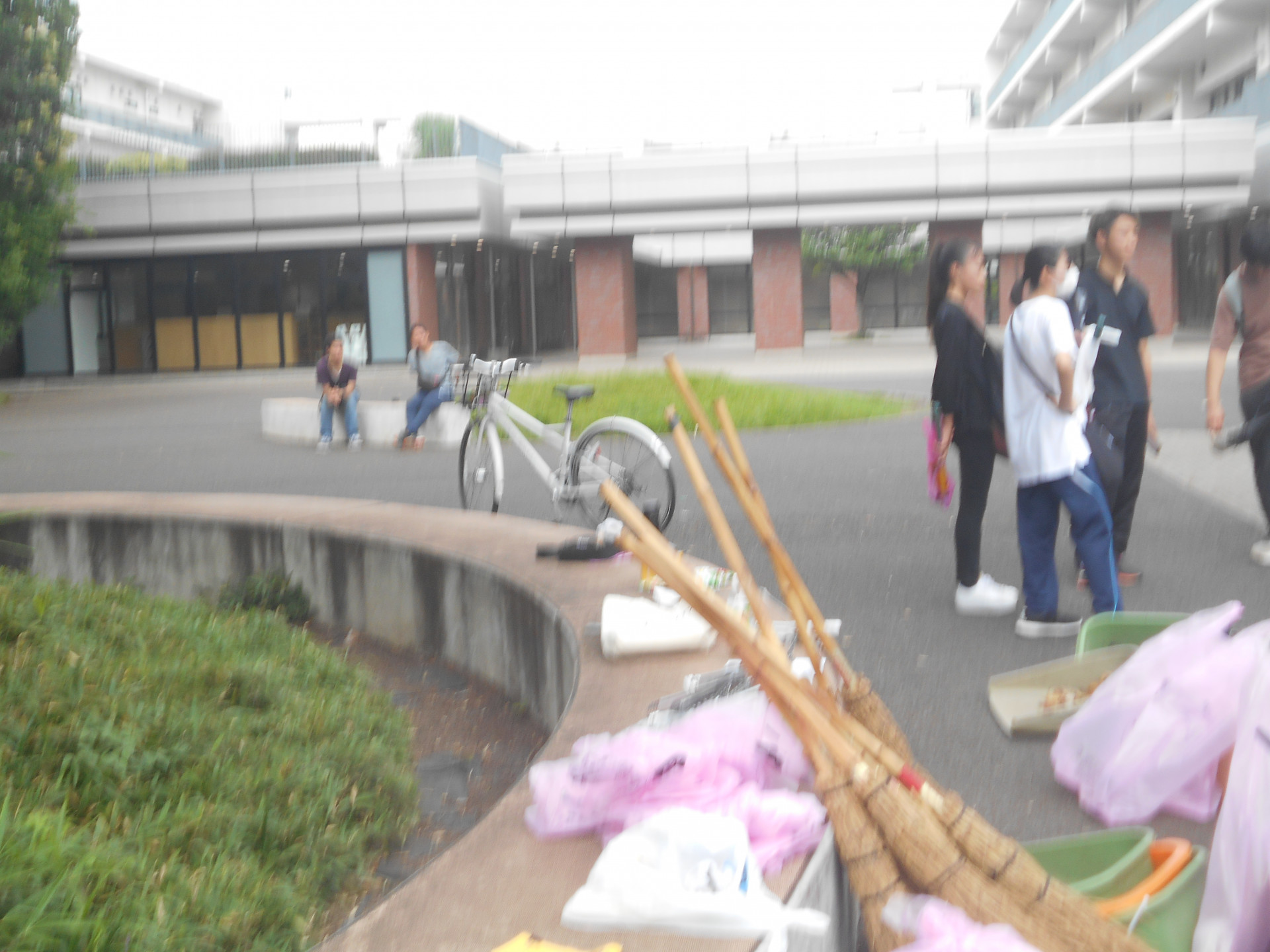 DSCN0335.JPG