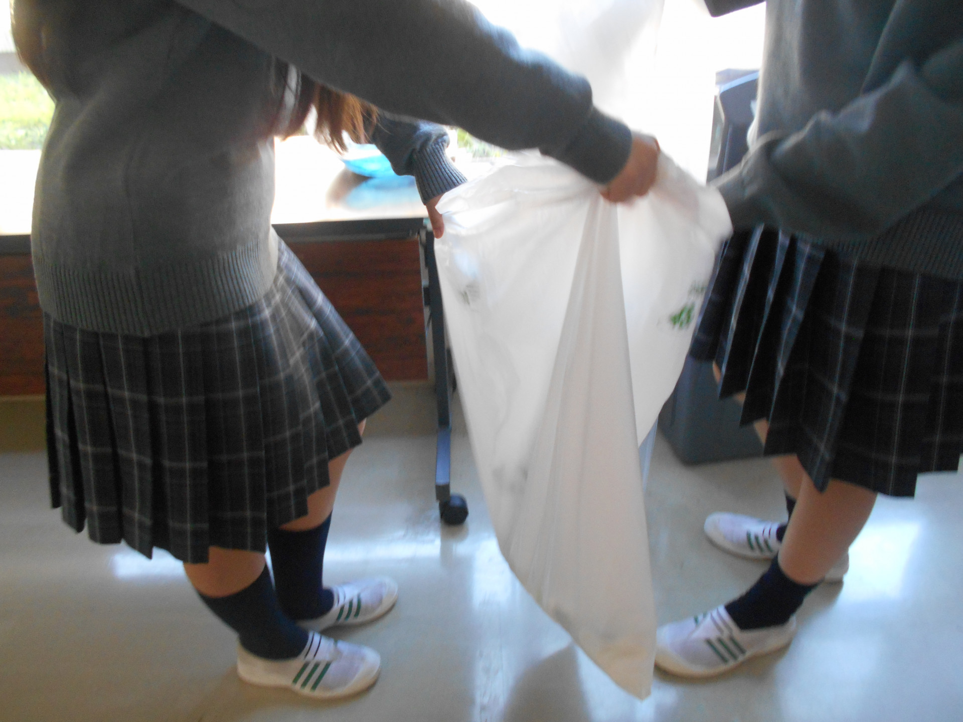DSCN0408.JPG