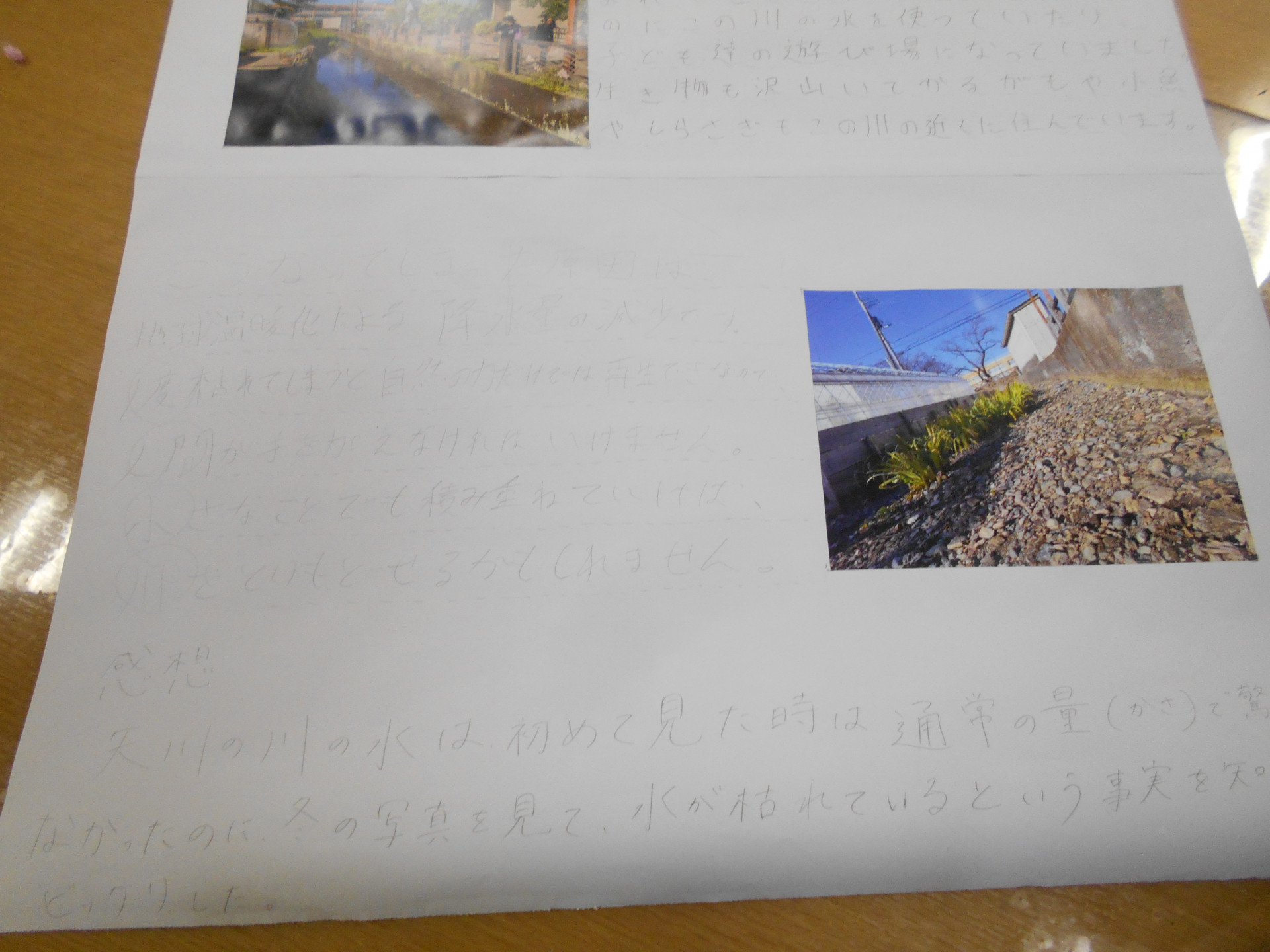 DSCN0498.JPG