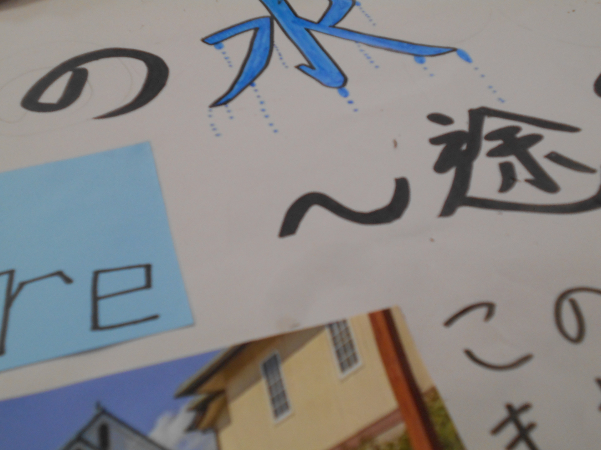 DSCN0514.JPG