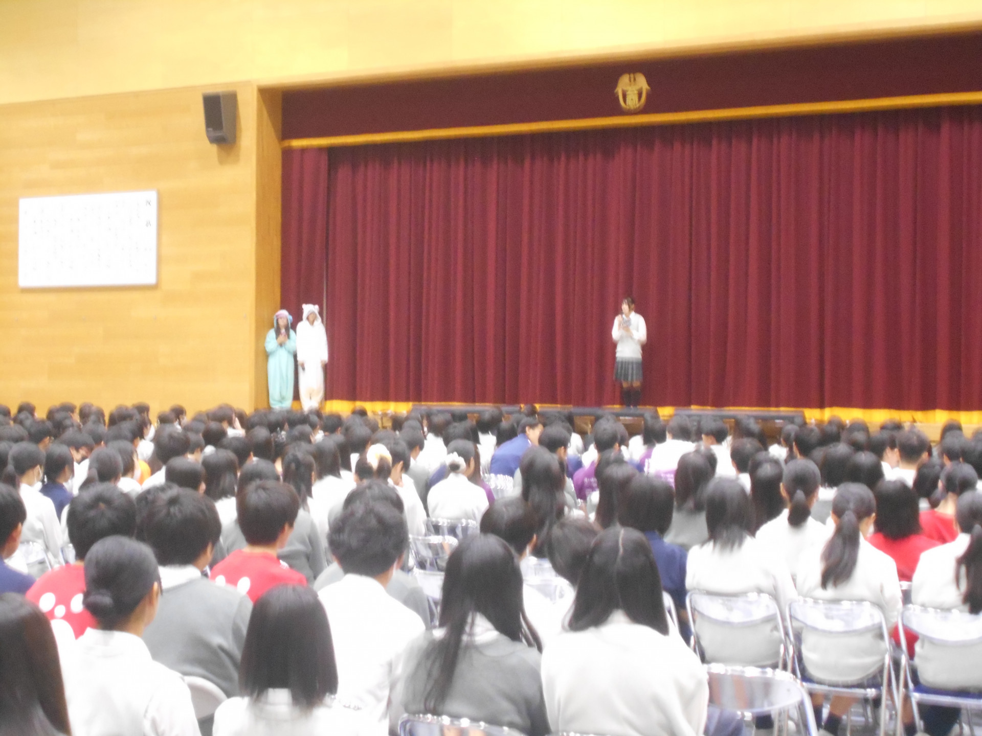 DSCN0553.JPG