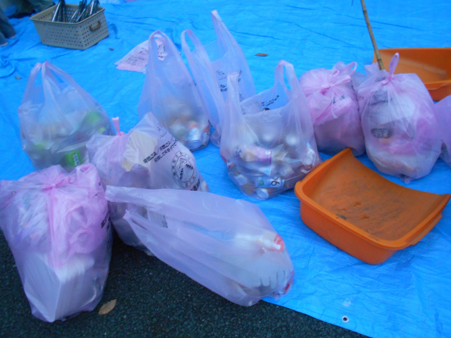 DSCN0590.JPG