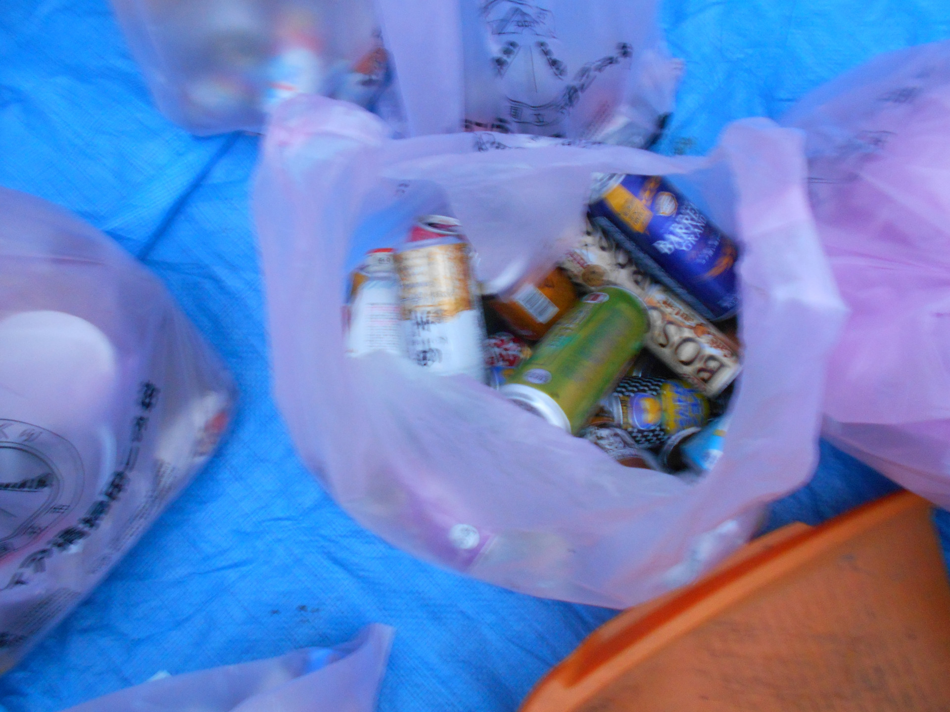 DSCN0591.JPG