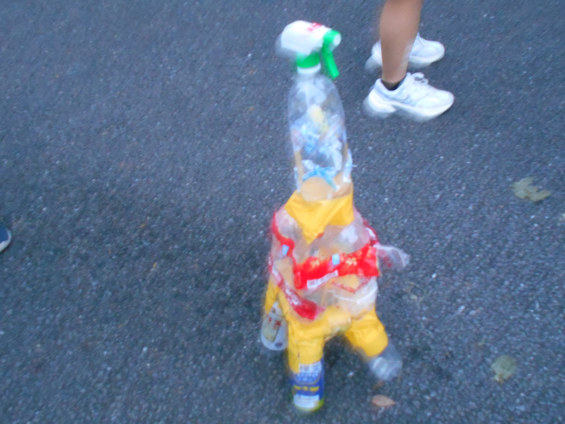 DSCN0593.JPG