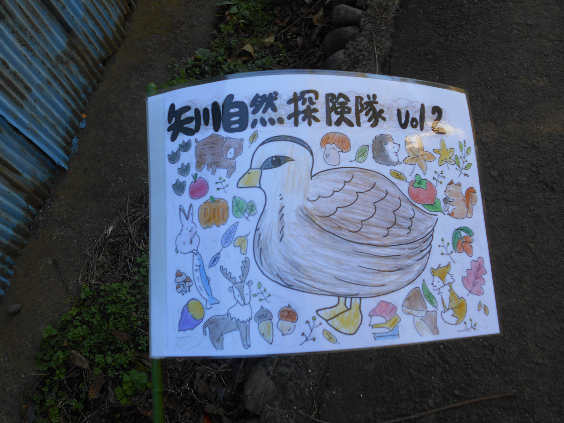 DSCN0597.JPG