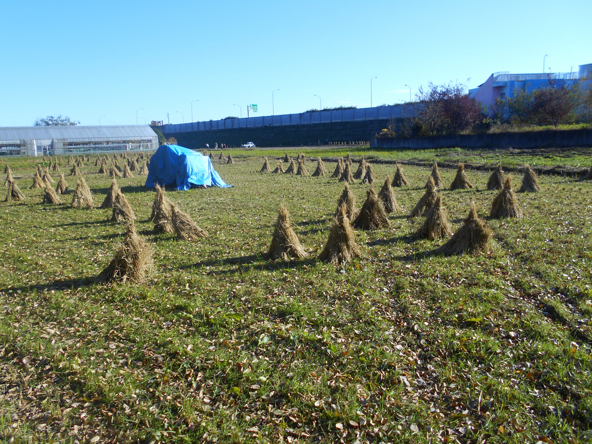 DSCN0601.JPG