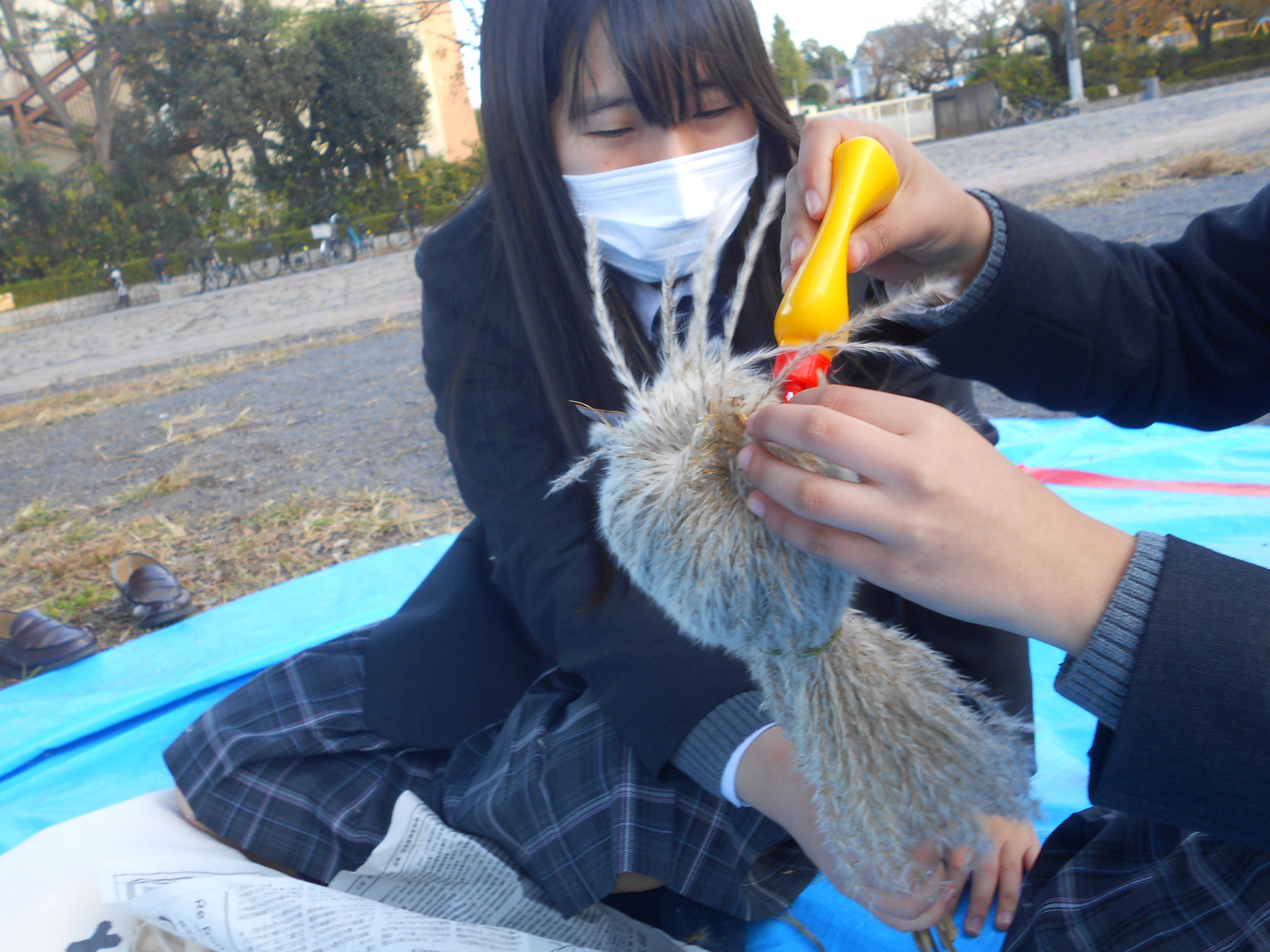 DSCN0606.JPG