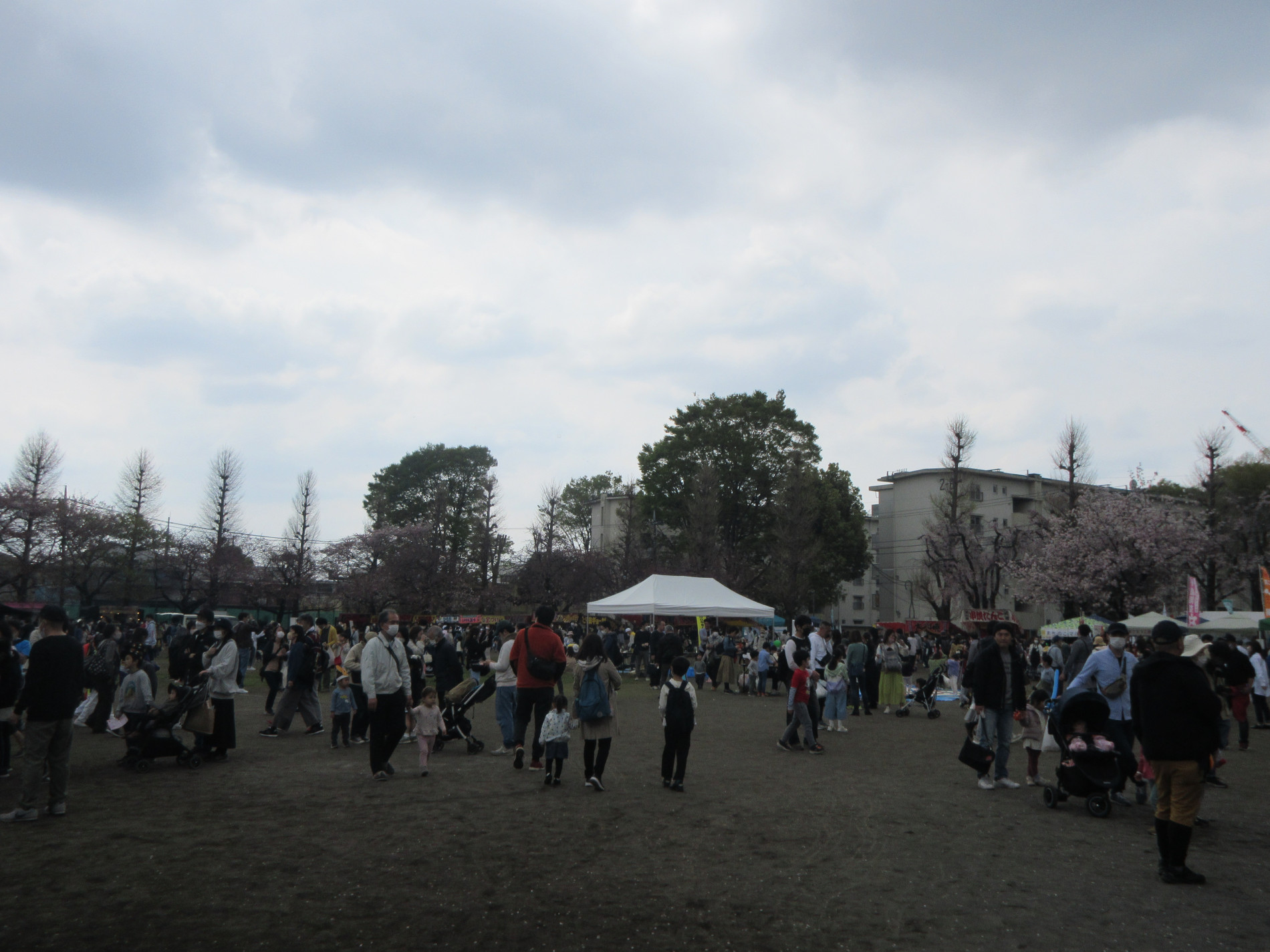 IMG_7775.JPG