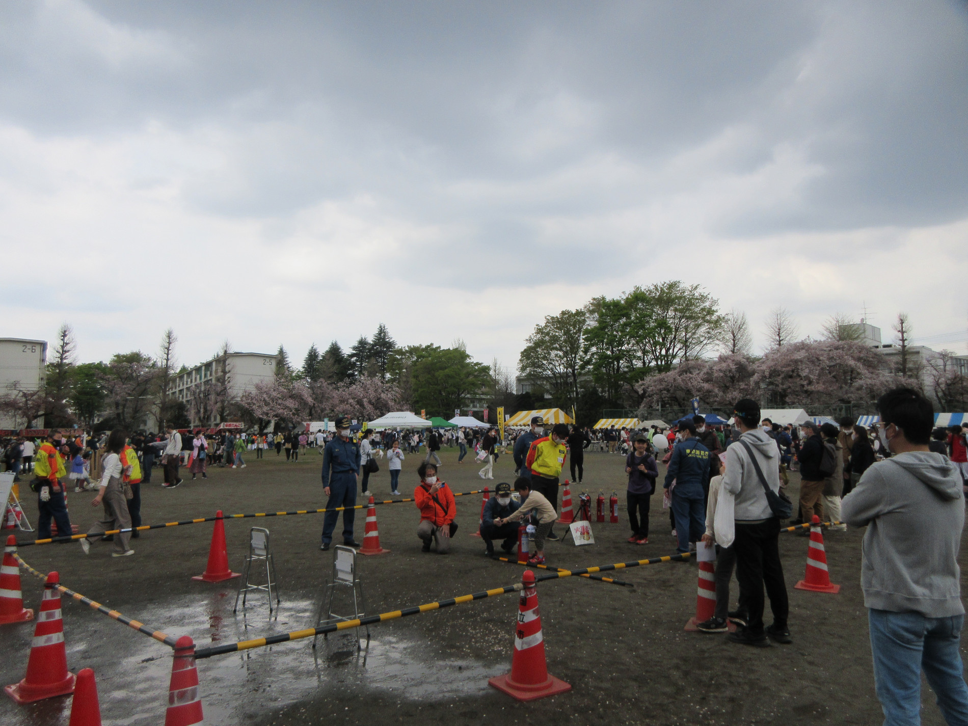 IMG_7779.JPG