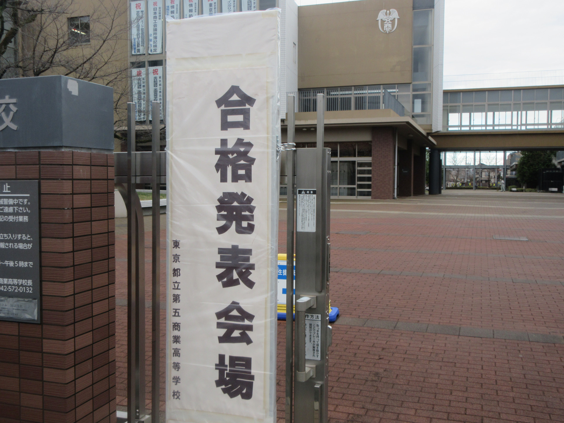 IMG_9606.JPG