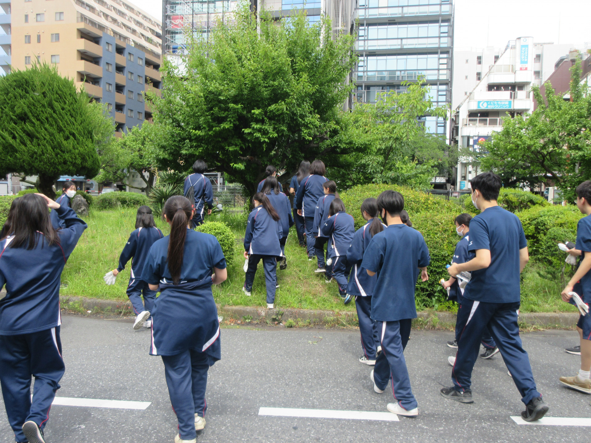 IMG_9893.JPG
