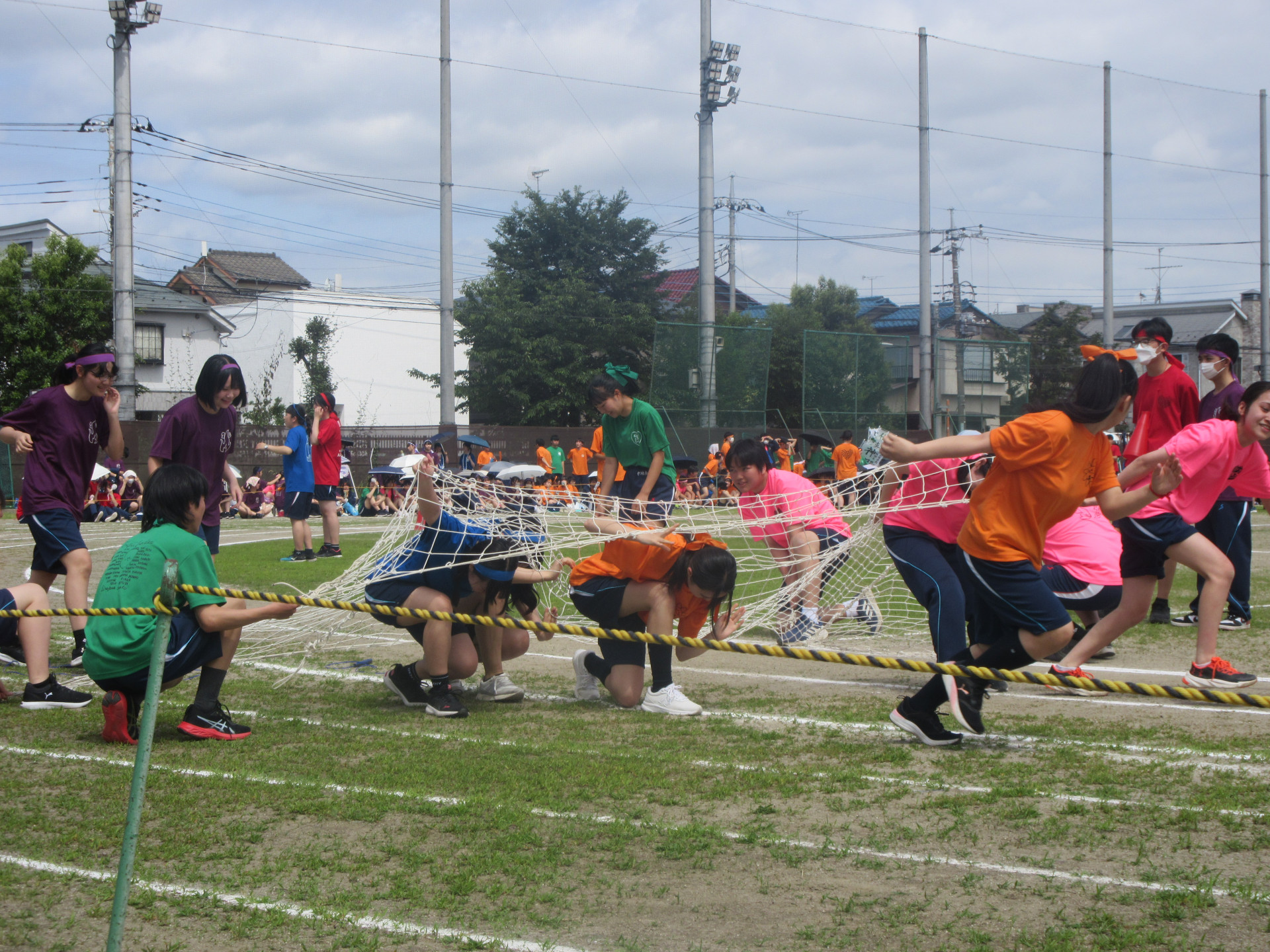 IMG_9930.JPG