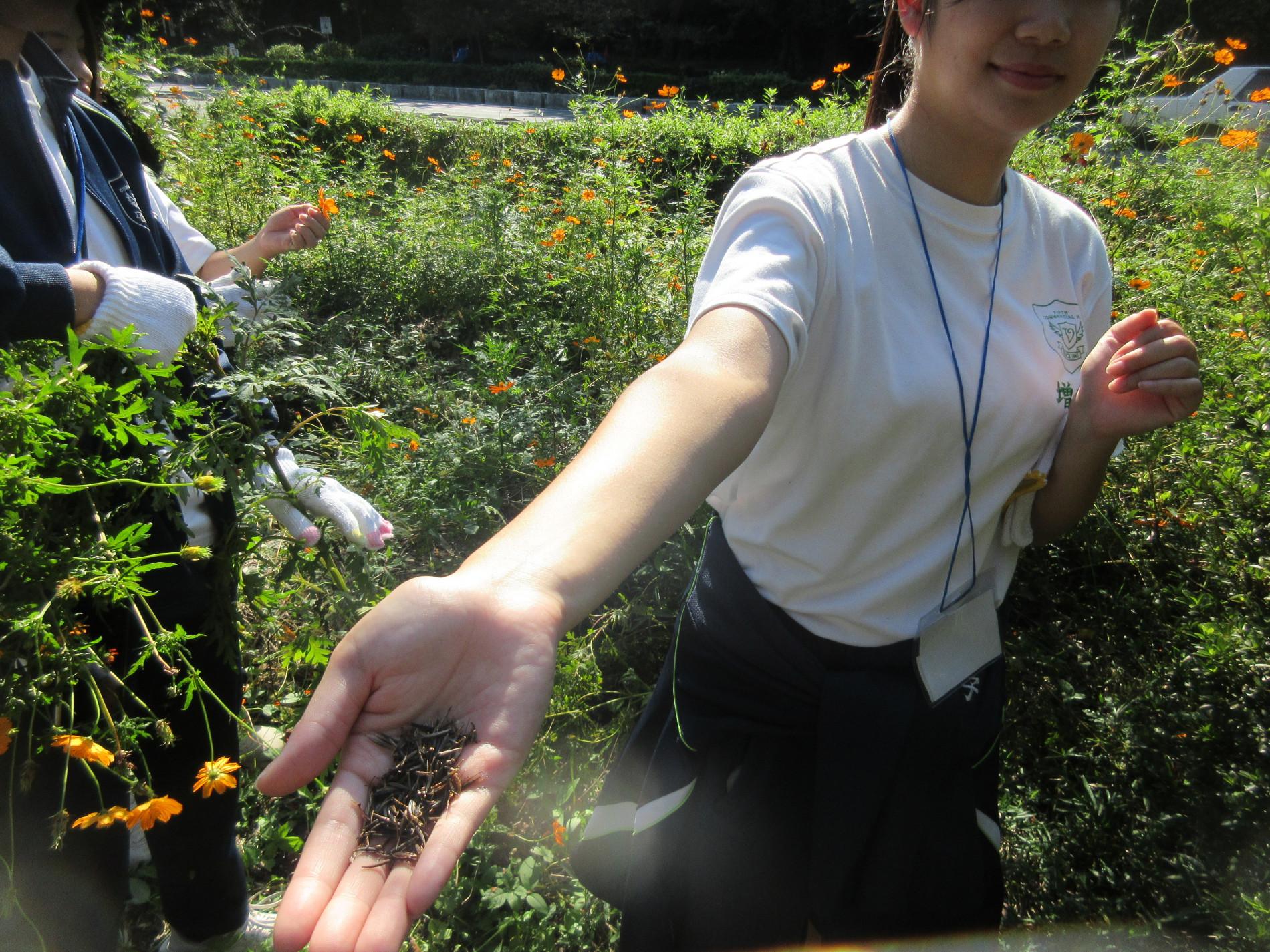 IMG_9974.JPG