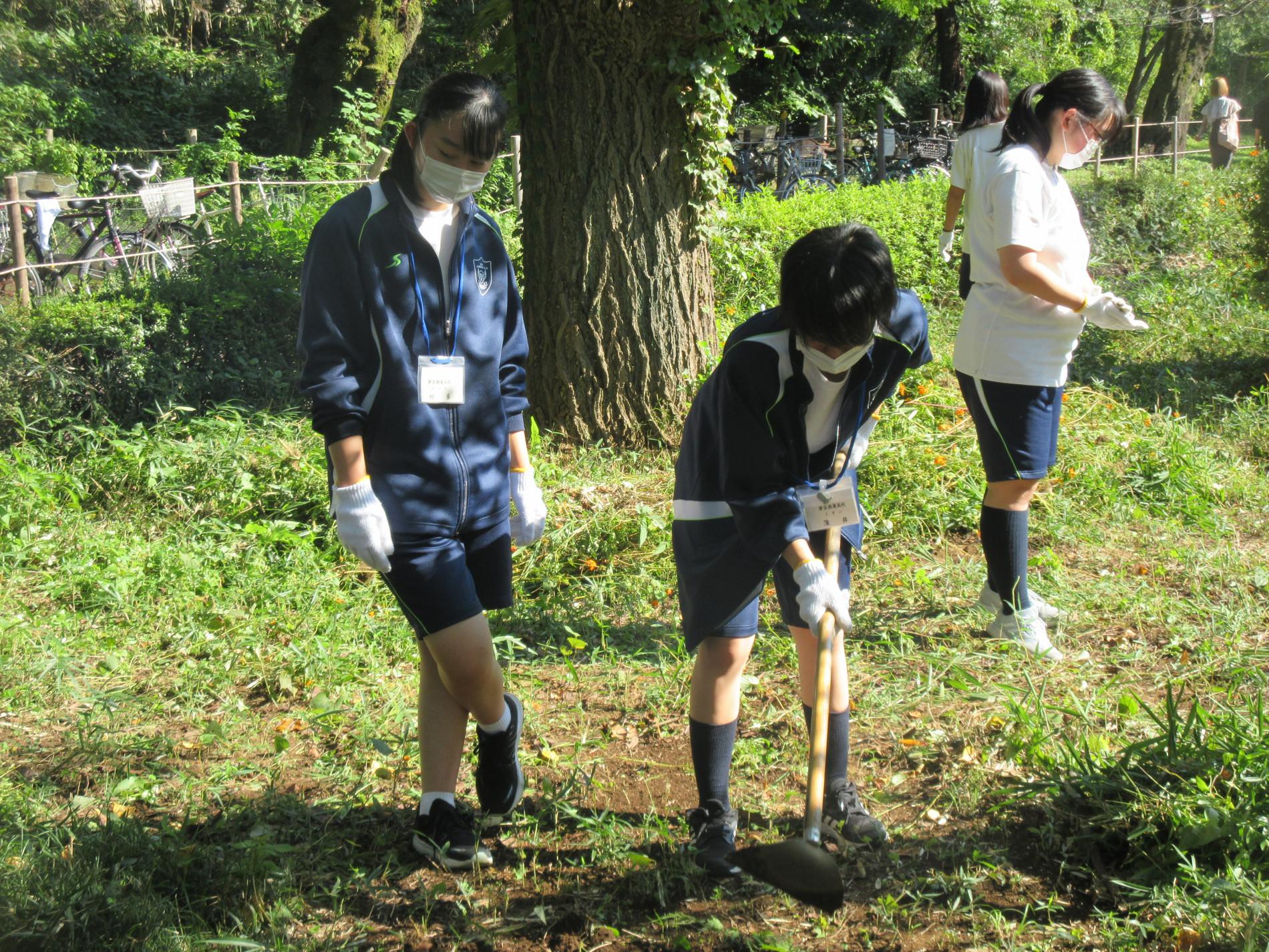 IMG_9982.JPG
