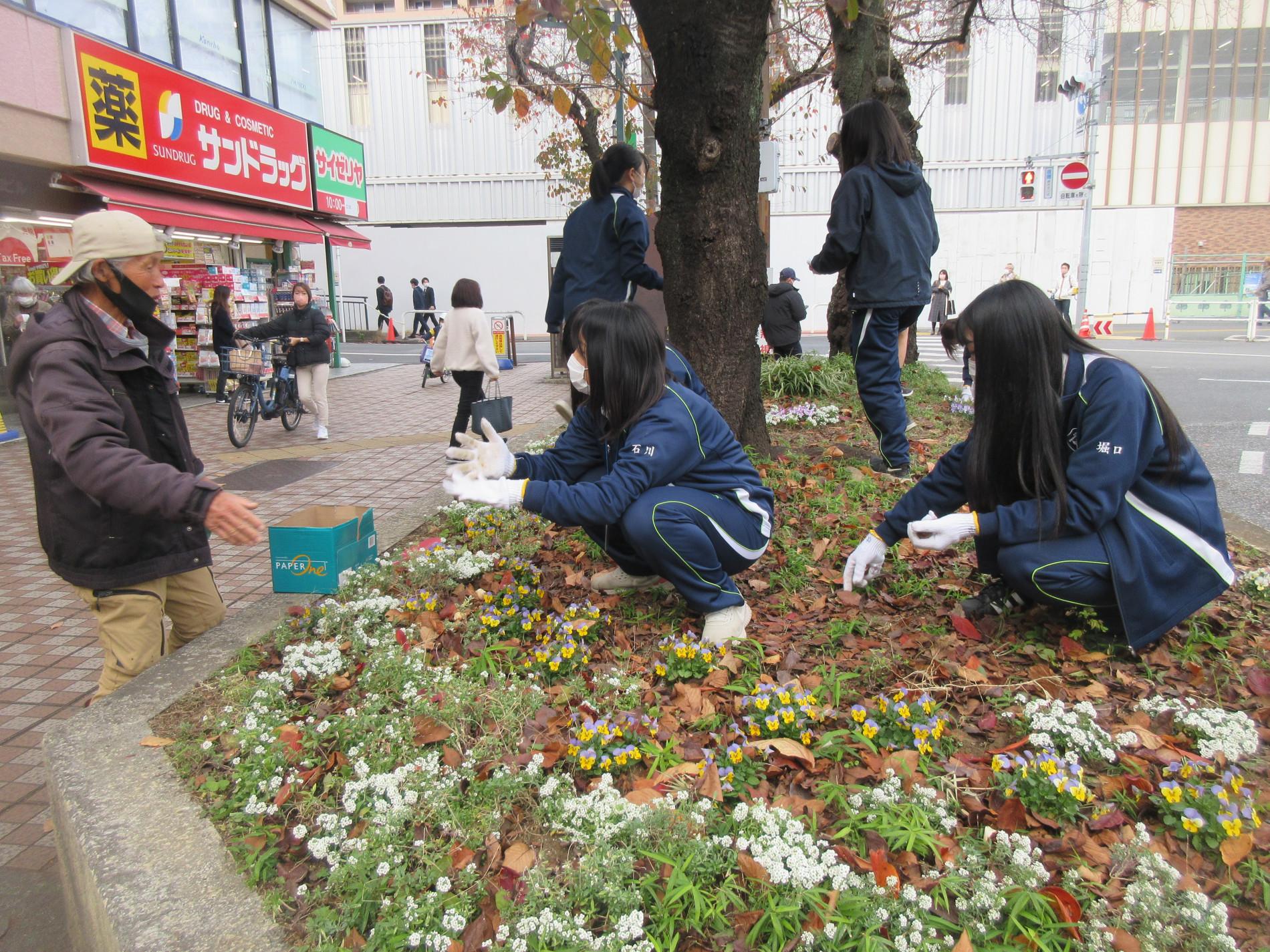 IMG_9257.JPG
