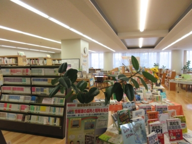図書館4