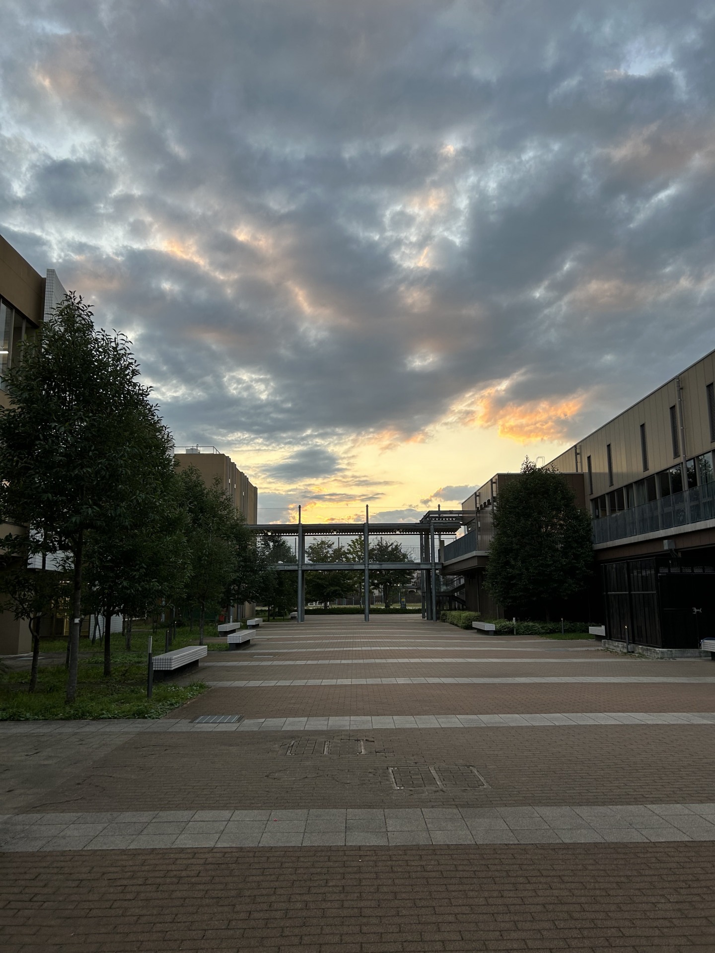 夕方の風景