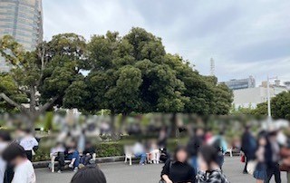 202504250241