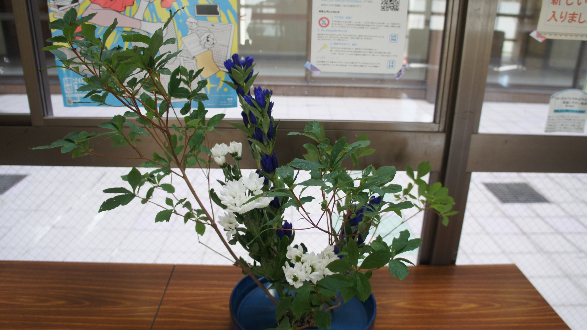 DSC04666.JPG