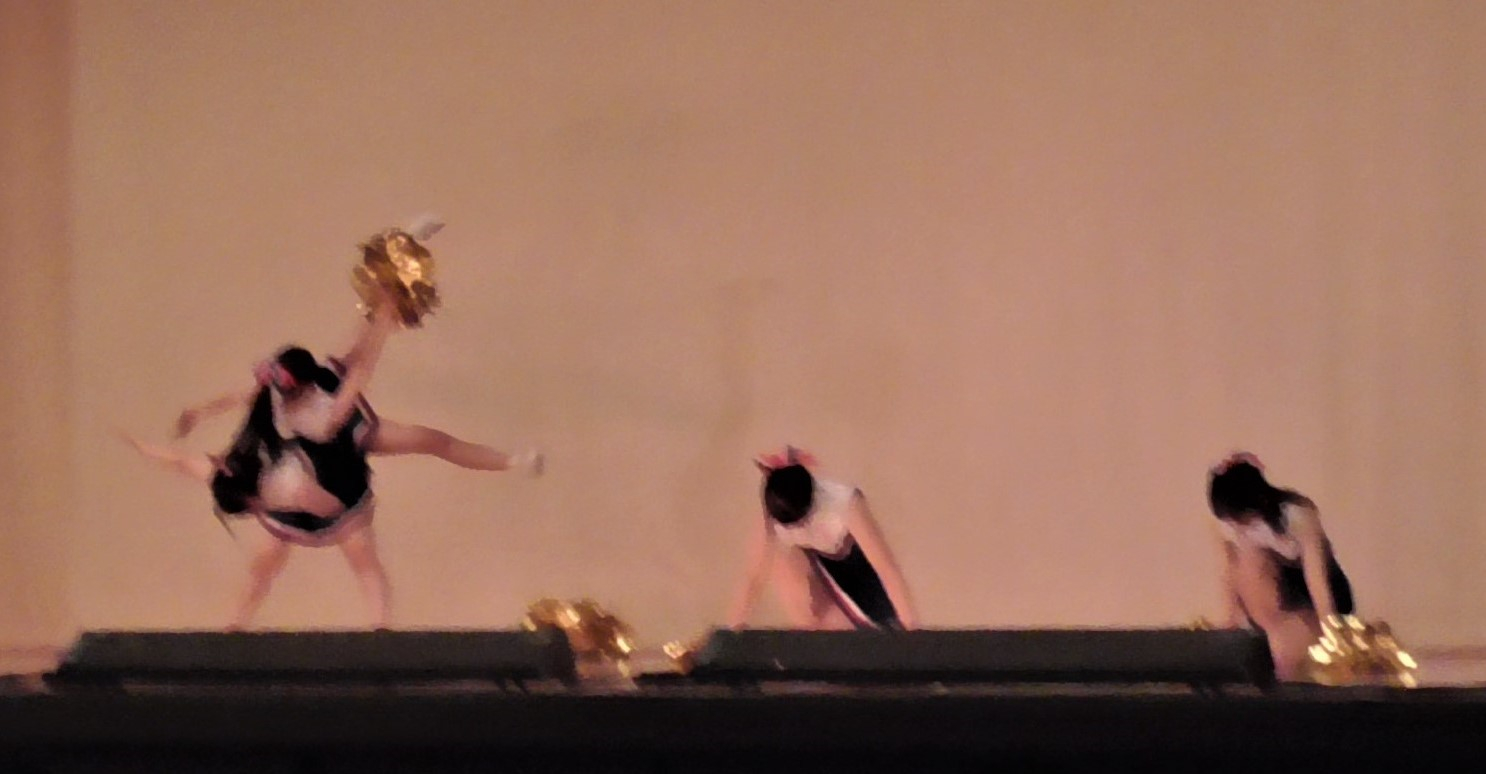 S1030663.JPG