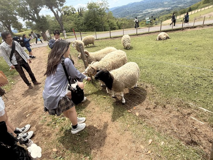 1年校外学習04285