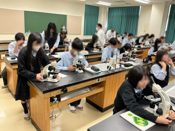 science06041