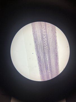 science06042