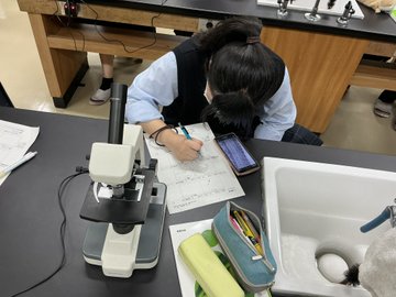 science06043