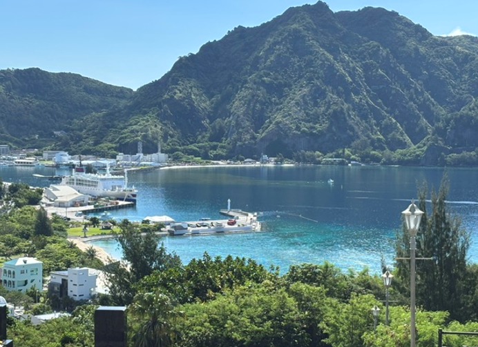 小笠原海