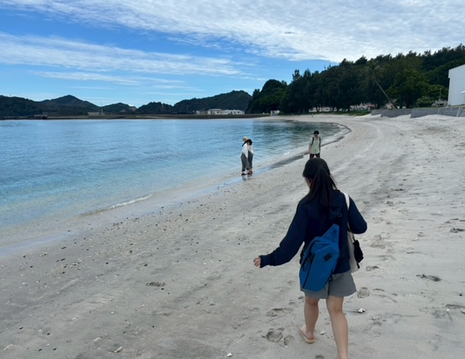 海