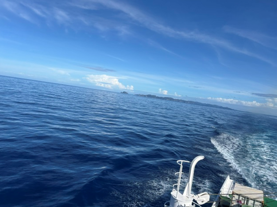 見送り海