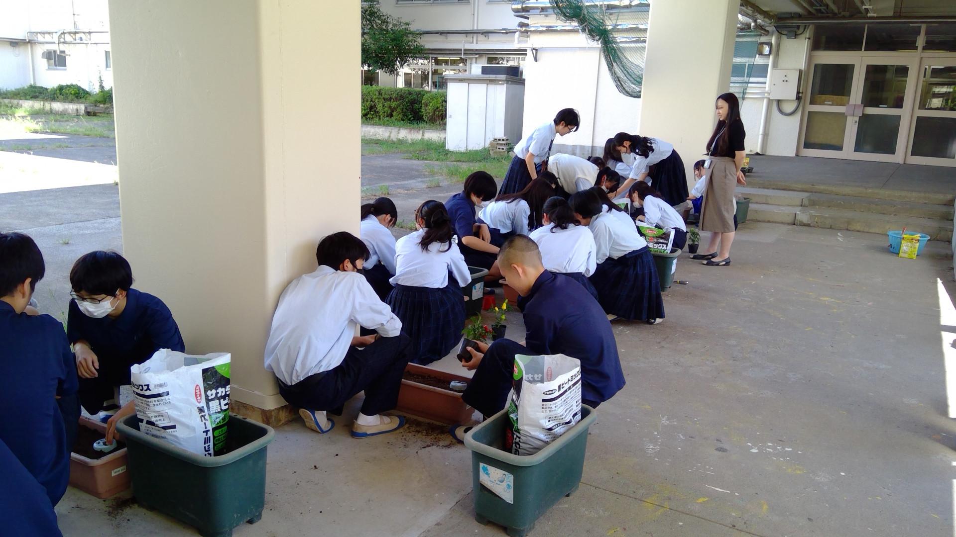 9-4園芸ボランティア (2)