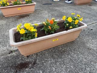 Image (5)