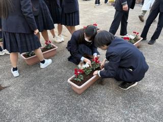 Image (3)
