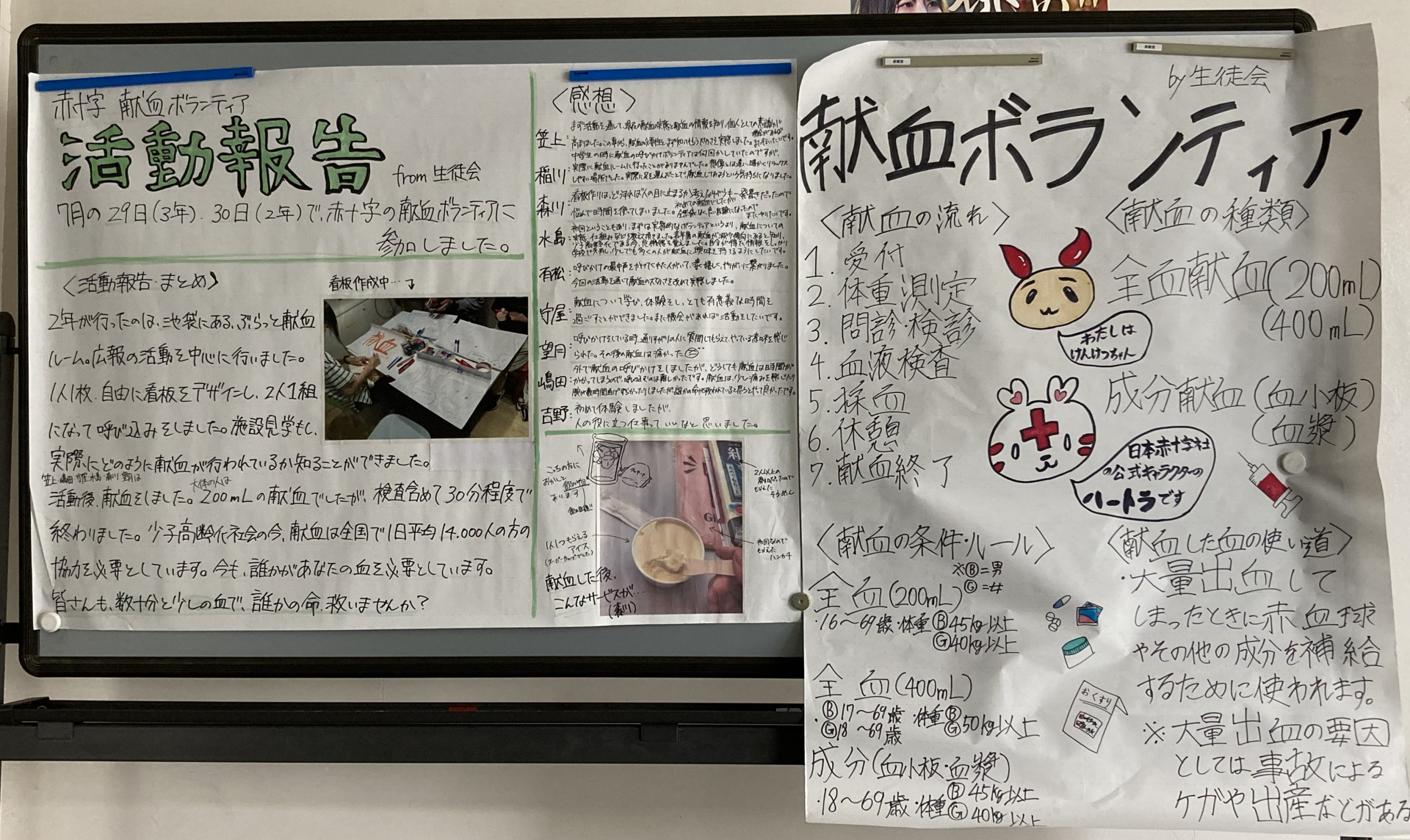 ボランティア活動報告