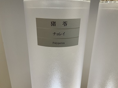 猪苓