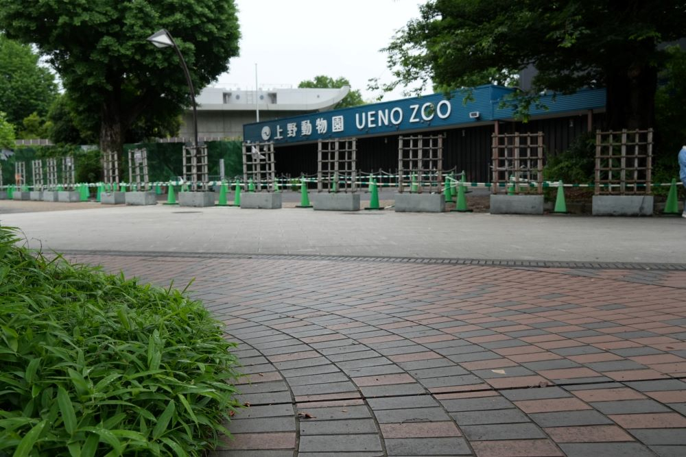 04.JPG
