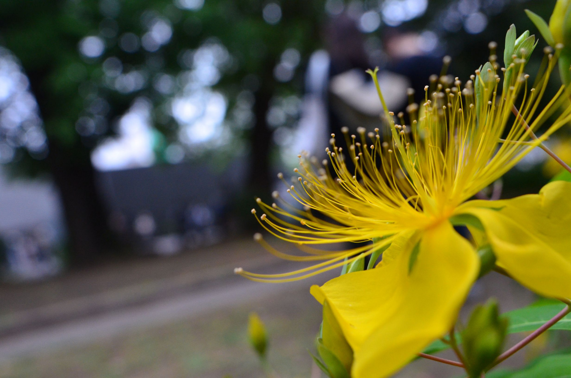 0523-7.JPG