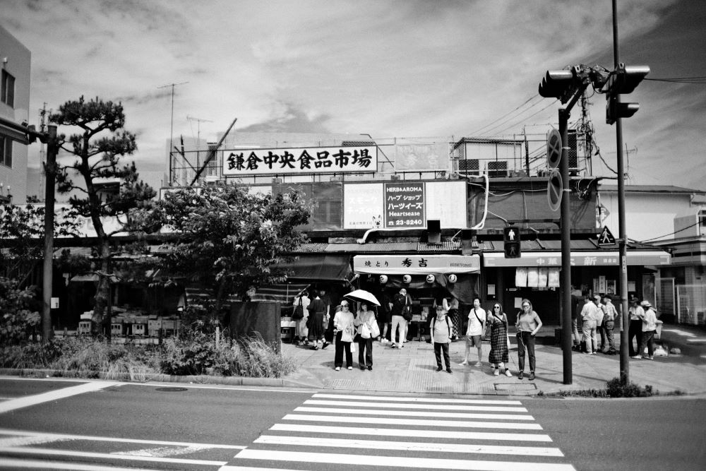 DSCF9598.JPG
