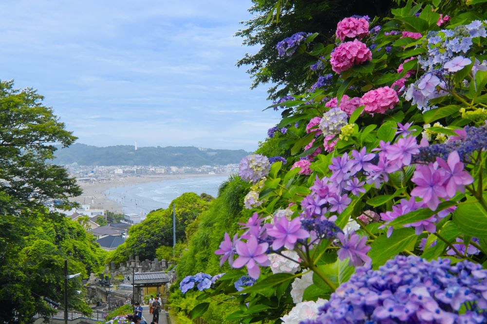 DSCF9862