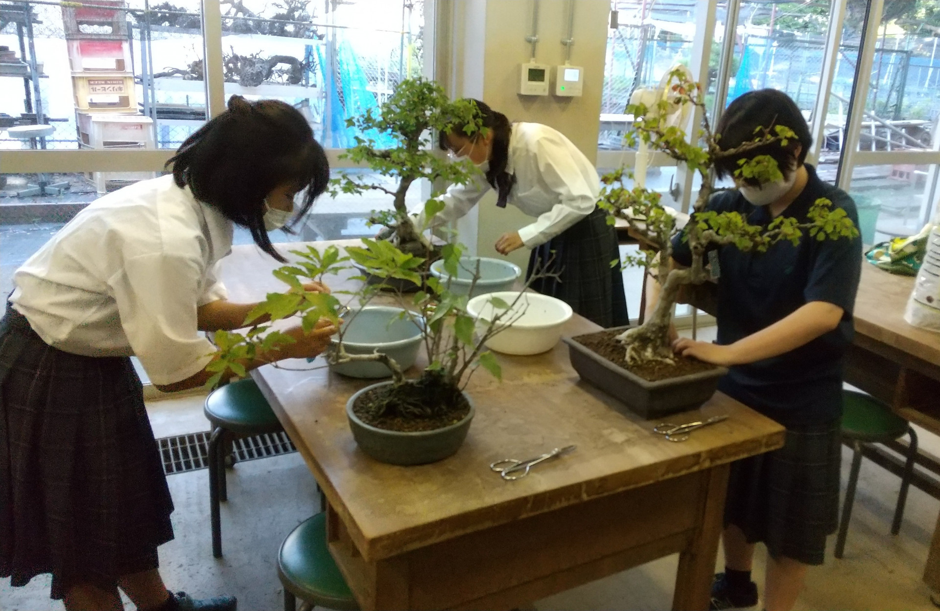 R5盆栽部活動風景①.JPG