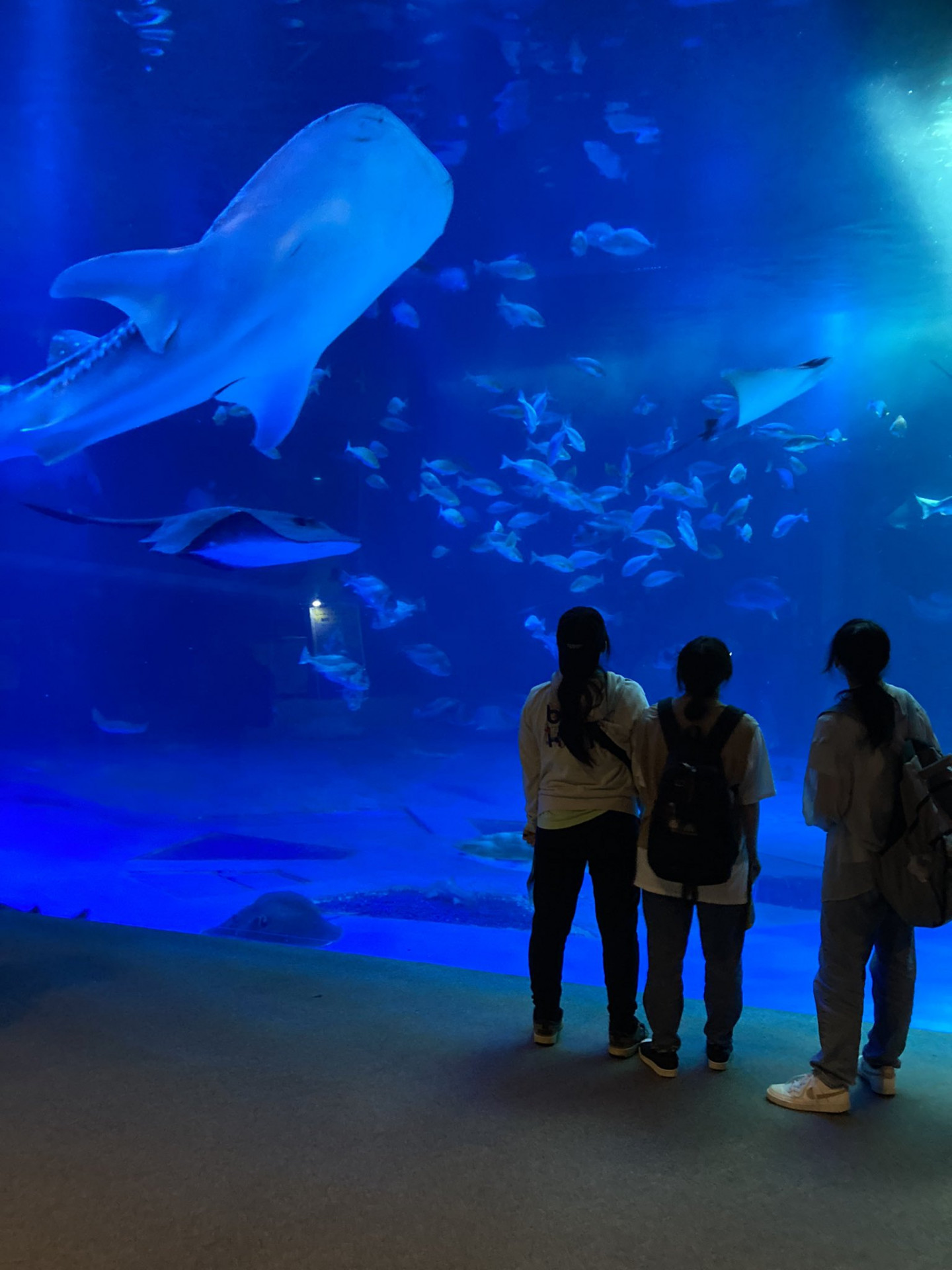 のとじま水族館