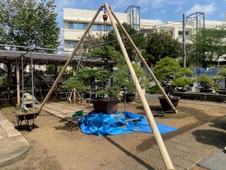 三代さん１
